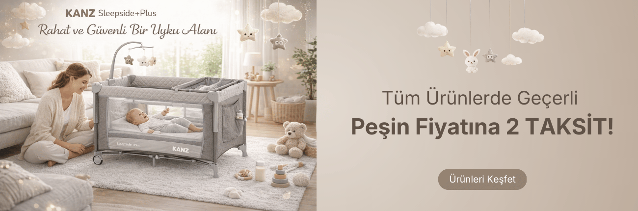 pesin-fiyatina-2-taksit